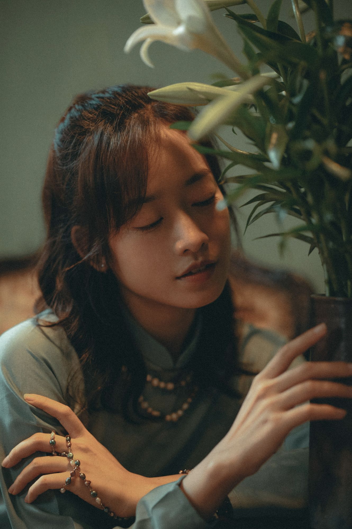 Hoà Bình – Peace Solution